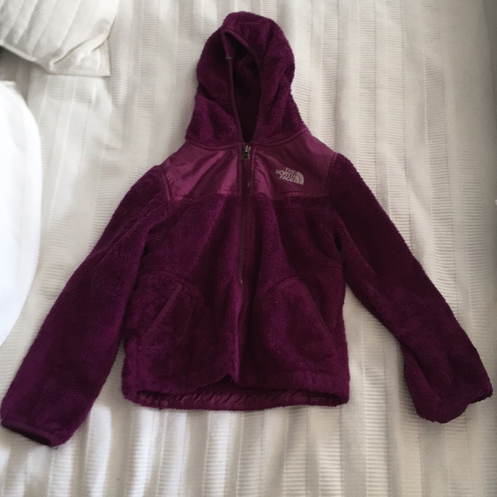 TheNorth Face sweater